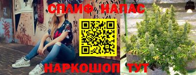 стаф Новозыбков