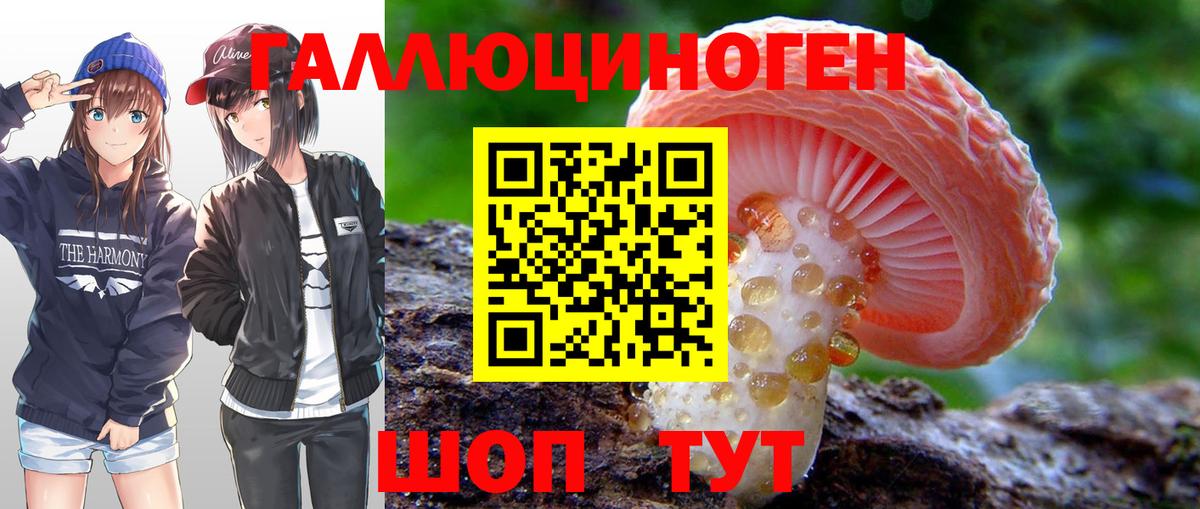 Алапаевск  Галлюциногенные грибы прущие грибы  Псилоцибиновые грибы мицелий  Вход с VPN 